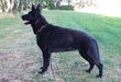 Blk Mystic Von Kyan