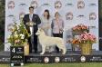 GCH ARG-JCH Khan De La Condesa del Alba