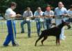 V, AIAD Campionessa Sociale Hisetred della Fortezza Vecchia