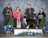 AKC GCH/ASCA CH Empyrean N Copperridge's Black is Beautiful