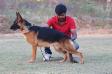nishan's kolli