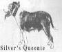  Silver's Queenie