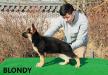 Blondy von TENGERIIN URS