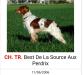 CH.TR. BEST de la source aux perdrix