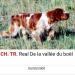 Cot.6/6-Elite A. CH.TR. CACIB(3).CACS(4).RCACSNE(1) REAL de la vallee du boёl