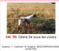  CILENE de sous les viviers