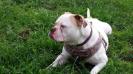  Highlands Evie