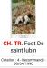 Cot.4/6 ChFCS. ChIB. FOOT de Saint Lubin