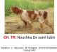 Cot.2/6 CACIB(3).CACSCHPT(1). EXCChNE. NOUCHKA de Saint Lubin