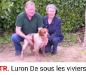 CH.TR. LURON de sous les viviers