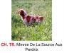 CH.TR. MINNIE de la sources aux perdrix