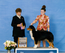 AKC CH CopperRidge's Indecent Proposal