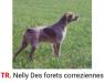  NELLY des Forets Correziennes