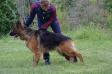 Jugniy Bluz Tsarina