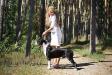 Desire To Please Iz Sozvezdiya Staff