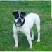 POWEFOLK'S CHLOE