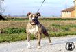 Contra Legem Coco