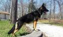  Hank Rearden von Atlas