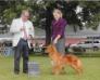 GCH CH NSDTRC-CH Manitou's Girl on Fire