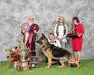 AOE 2023 Grand Victor, DAE, Best in Maturity, GCH.CH. Candia's Redneck Crazy v Surigo