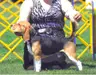 GCH Top Shelf's Park It