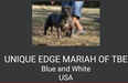  UNIQUE EDGE MARIAH OT TBE