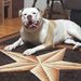  White's Dozer