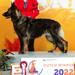 Ch NL, W'22, WoW'22 Sunna de la Prolingea