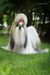 WENRICK´S PAPPER DOLL N´PEPPER