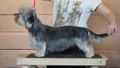 Sunny Magic AnnaLize