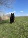  ZORRO MADOX