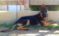 Nava M.Z House