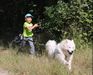  Giant Showman from Siberian Diamondland