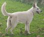 BeDaBlanco Lovely Lukka