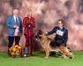 Can GV US 3X Sel Excellent MV GCHB CH Clayfield’s Gizmo V Eklectic Jimeni