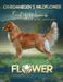Roaneden's Wild Flower