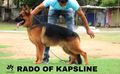 RADO OF KAPSLINE