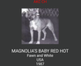  Magnolia's Baby Red Hot