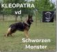  Kleopatra Schwarzen Monster