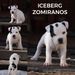 ICEBERG Zomiranos