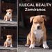 ILLEGAL BEAUTY Zomiranos