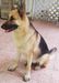 Mi Layla I