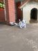 Pedigree American Bulldogs Australia Ānanda