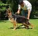 NORMY VON HAUS BRINTRUP