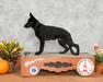 UKC Champion Lace's High Flying Ryder Von Hall