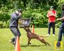 Black Stone Bulldogs Dharma