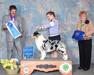 ASCA CH/AKC GCH Coopersville’s Enjoy The View by Dancer