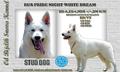 RUS PRIDE NIGHT WHITE DREAM