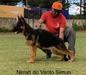Nirrah do Vento Simun