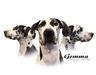  Country Acres Gemma Douget